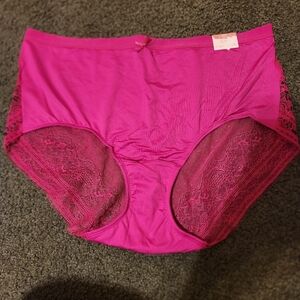 Cacique Womens Plus Size High Waist No Show Brief Panty Size 18/20 Pink NWT